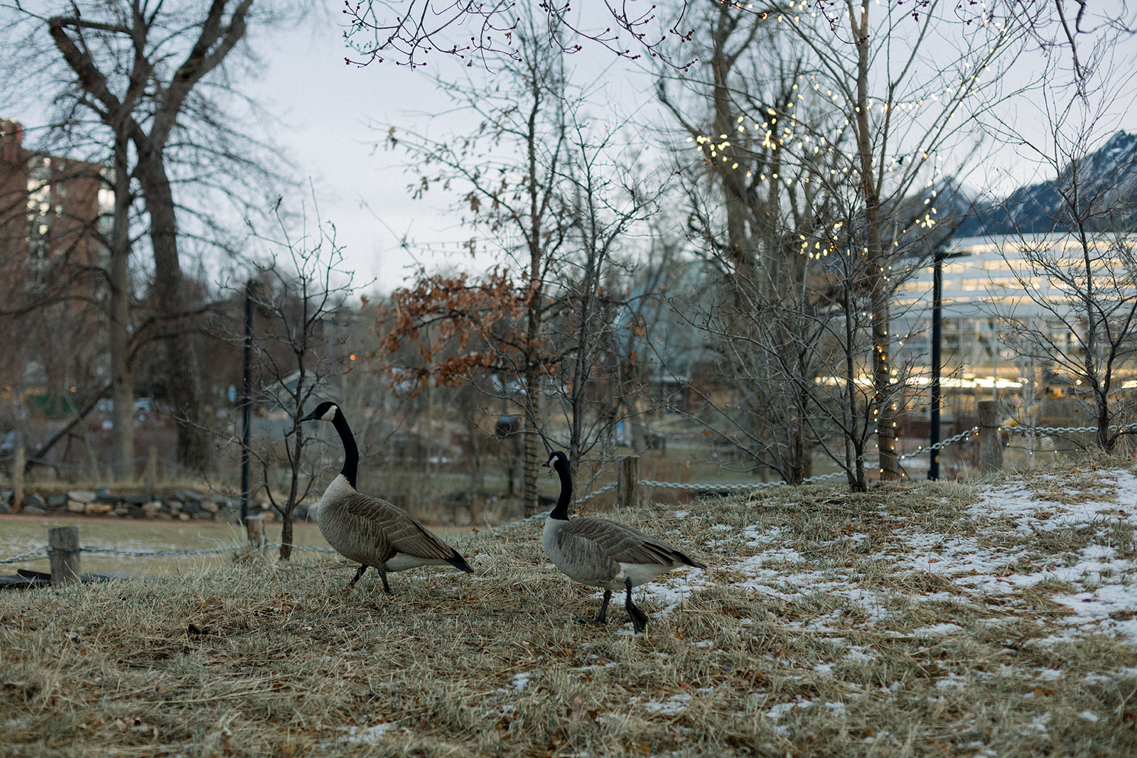 Caitlyn + Eric-116.jpg