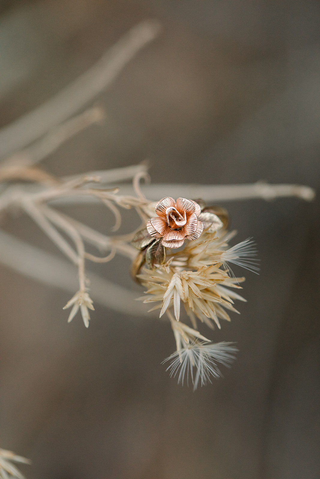 Caitlyn + Eric-195.jpg