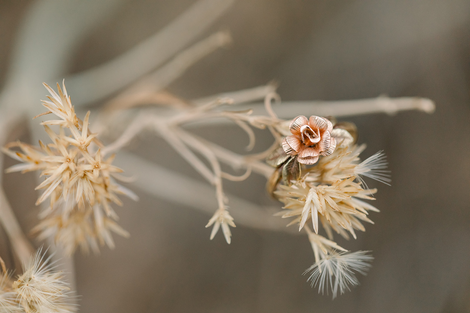 Caitlyn + Eric-196.jpg