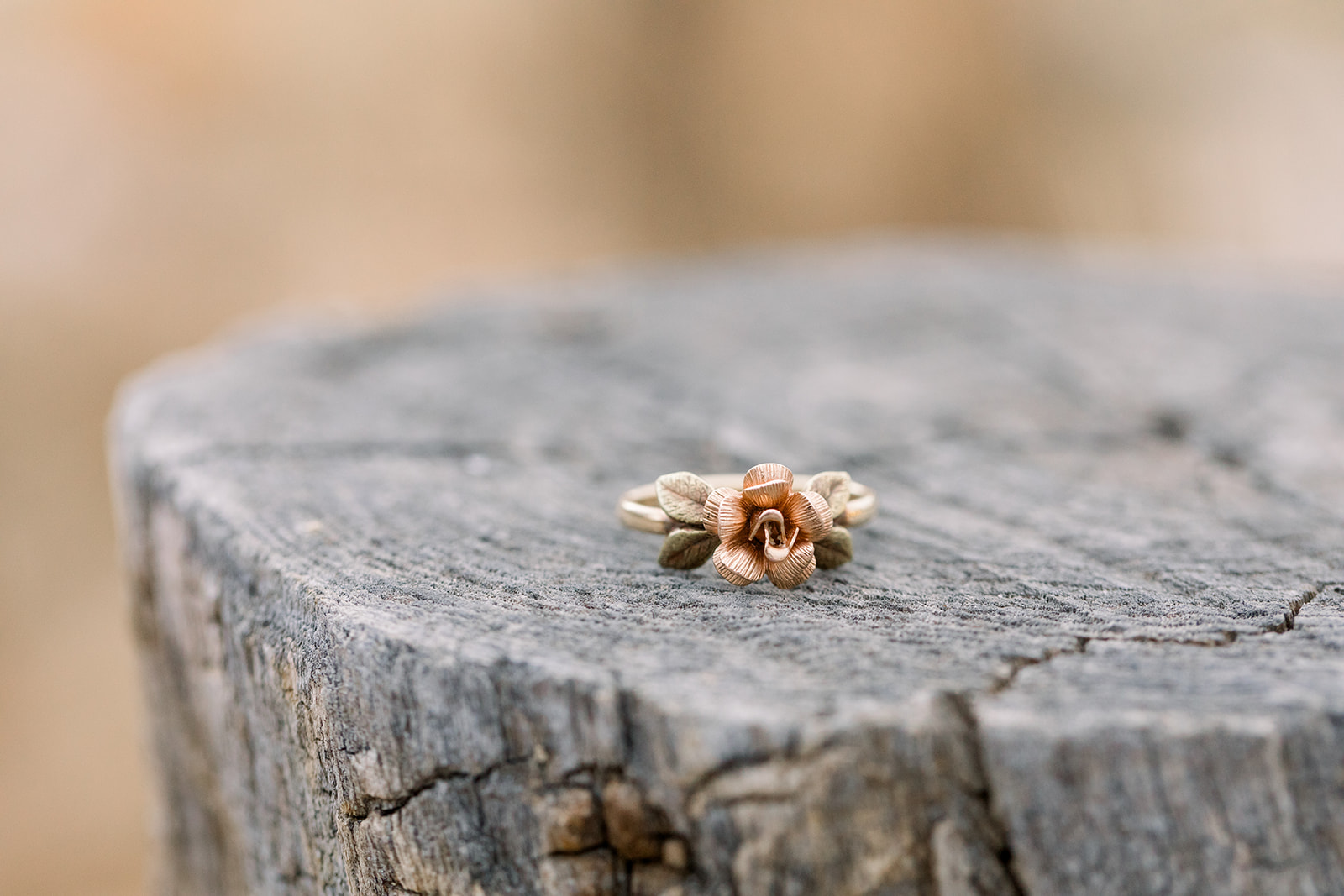 Caitlyn + Eric-198.jpg