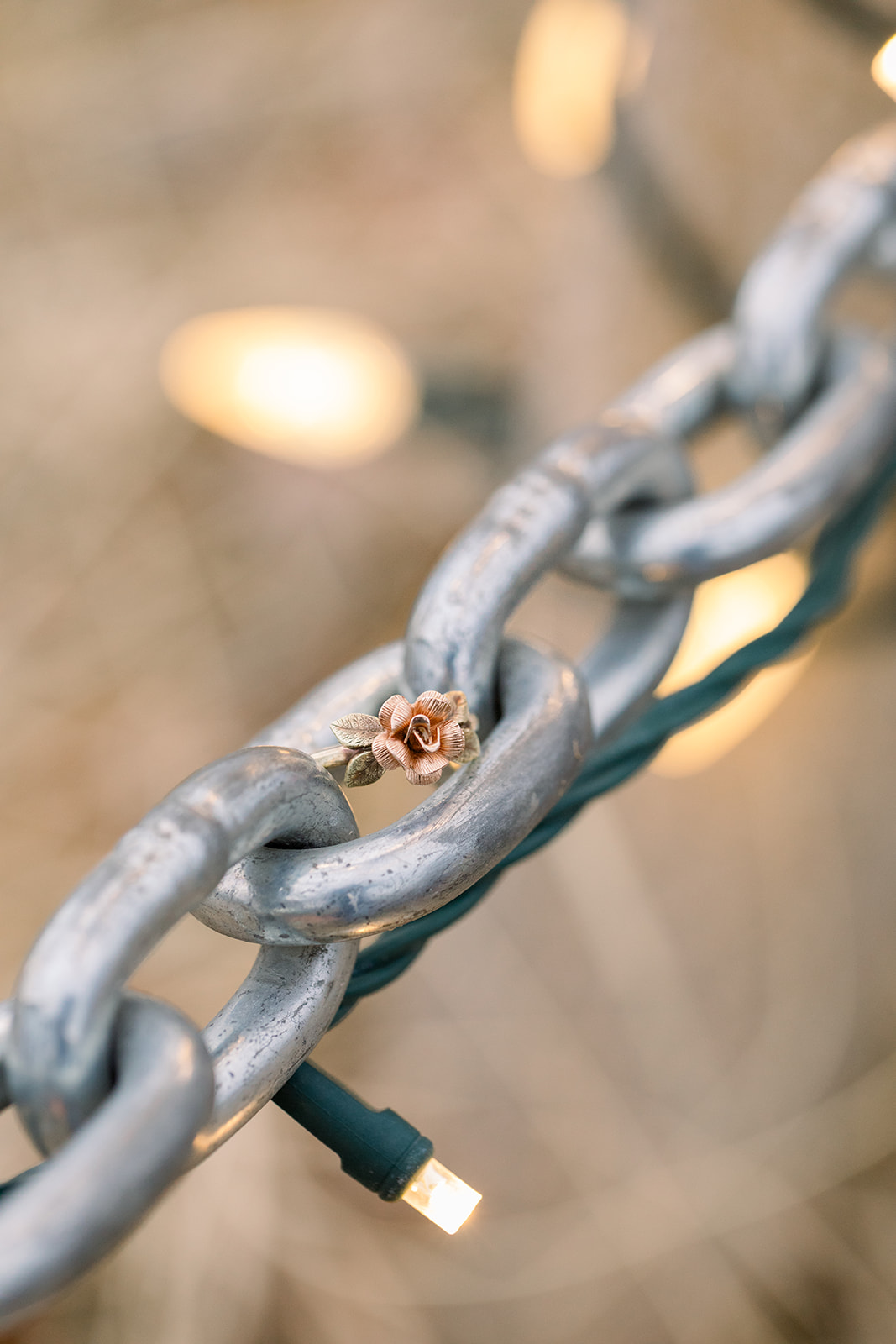 Caitlyn + Eric-201.jpg