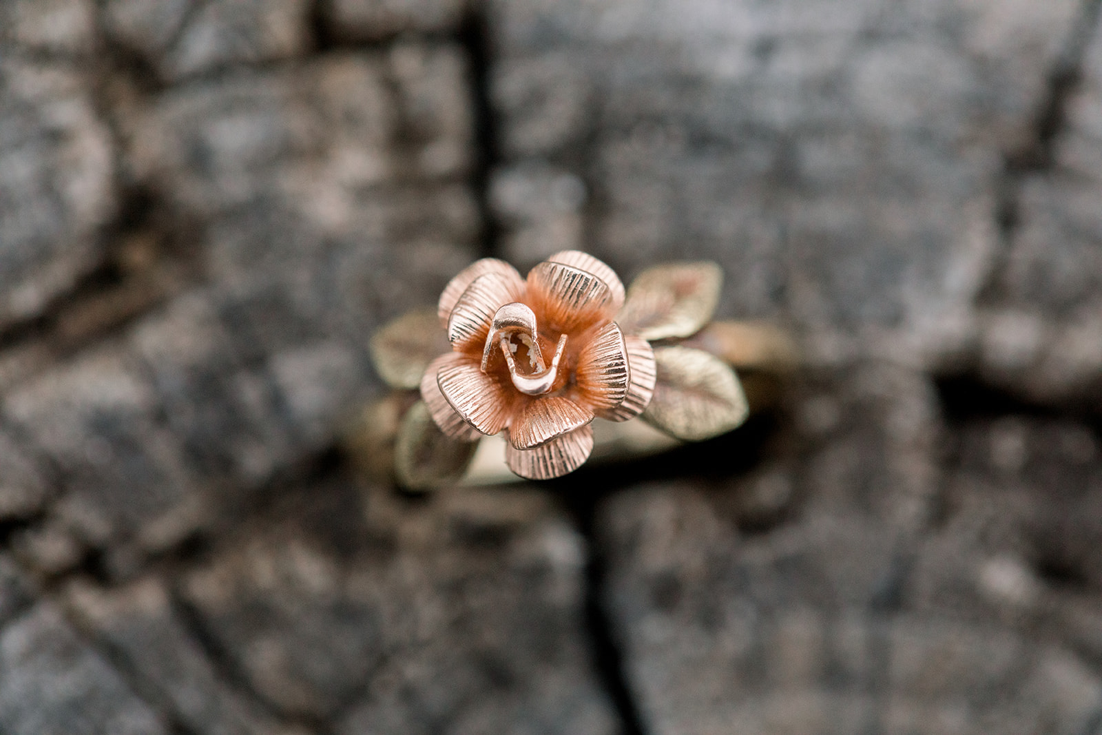 Caitlyn + Eric-202.jpg