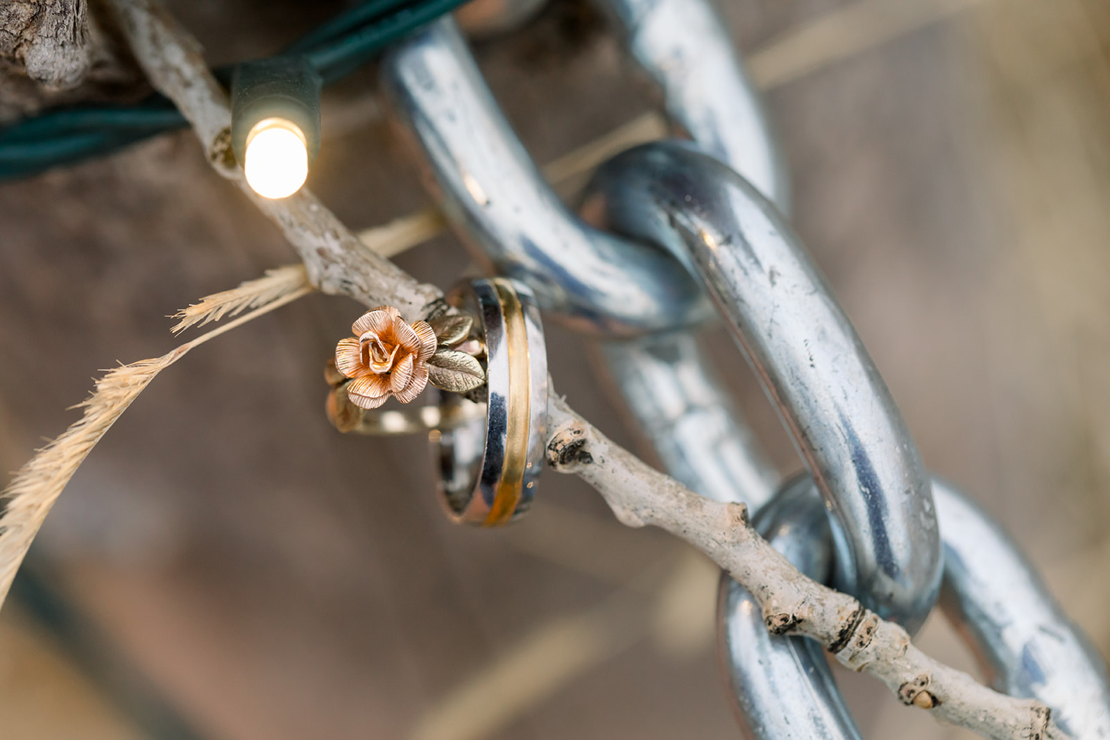 Caitlyn + Eric-203.jpg