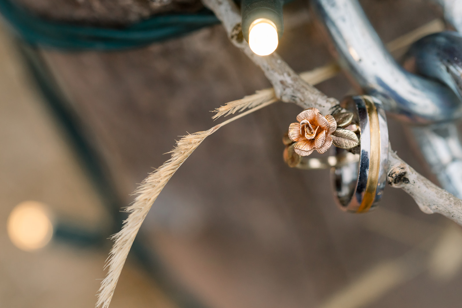 Caitlyn + Eric-204.jpg