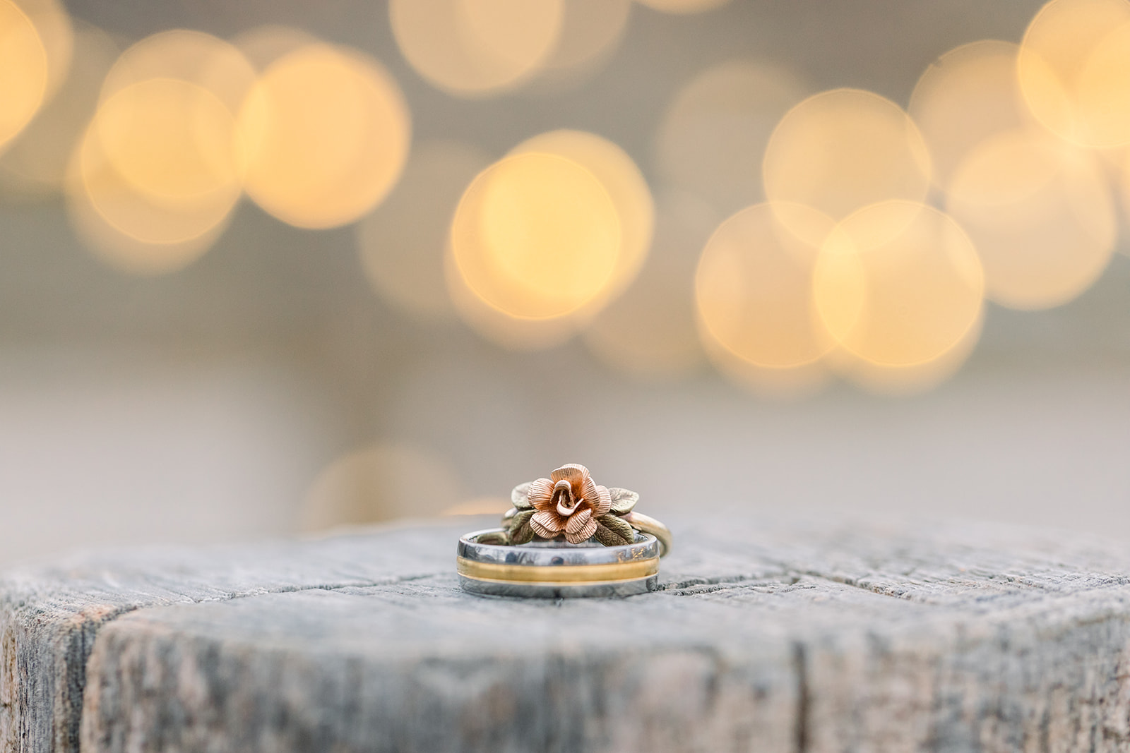 Caitlyn + Eric-205.jpg