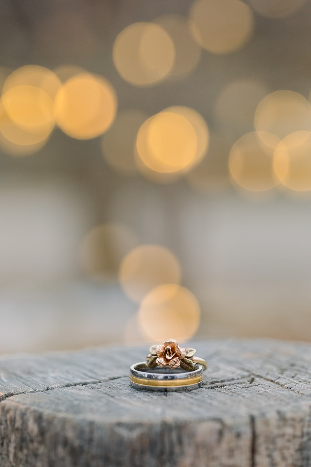 Caitlyn + Eric-206.jpg